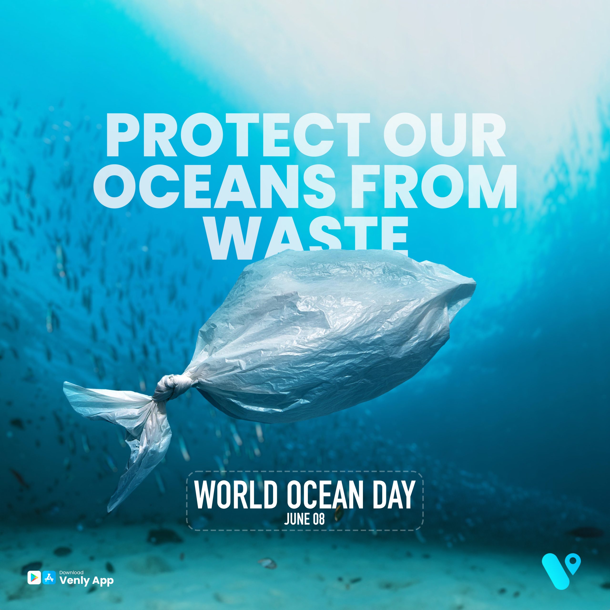 World Ocean Day: Safeguarding Qatar’s Marine Environment through your Actions